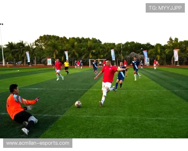 “球场火爆：现场最震撼的精彩瞬间”，球场上的精彩表演